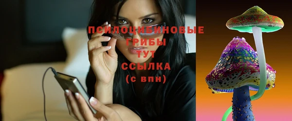 mix Арсеньев