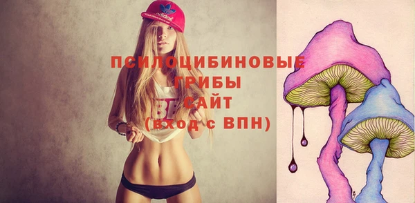 сатива Армянск