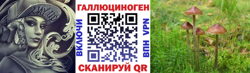 Галлюциногенные грибы мицелий  Ростов 